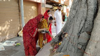 Vat Savitri Vrat 2024: महिलाओं ने अखंड सौभाग्य के लिए रखा व्रत, जानें बरगद पेड़ में कच्चा सूत क्यों बांधा जाता है?
