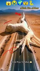 Power is Allah || Allah is great || I love  Islam