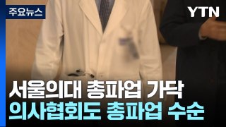 서울의대·병원 교수들 총파업 '가닥'...