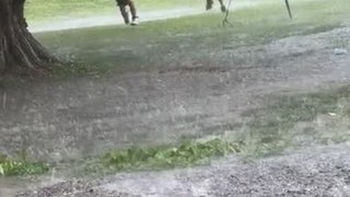 Children Runs to Their House in Rain Through Flooded Yard in Kentucky, USA