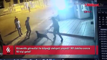 Güvenlik görevlisi ile köpeği dehşeti yaşadı! '40 dakika sonra 10 kişi geldi'