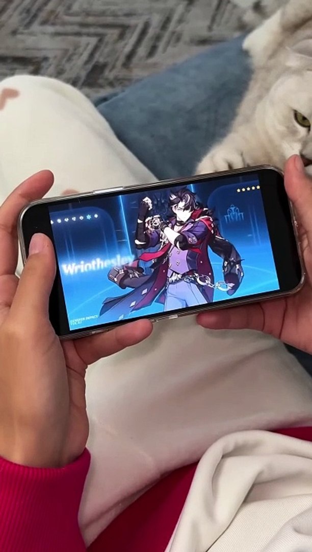 SONYAAAAA!!! #cat #cats