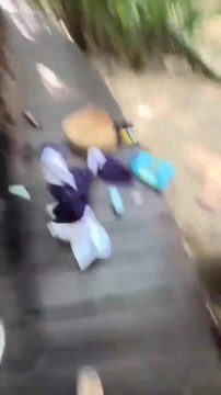 Monkey Snatches Woman's Bag