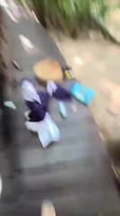Monkey Snatches Woman's Bag
