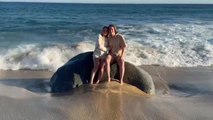 Couple Gets Hit by Wave While Taking Photo
