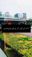 حضرت ابوبکر رضی اللہ تعالی عنہ