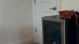 Tuxedo Cat Opens Door Knob and Enters Room