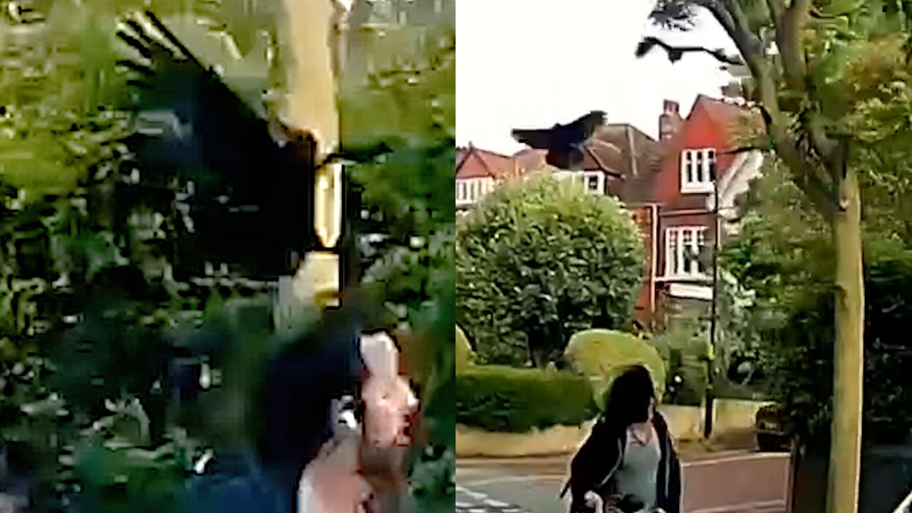 Londoner viertel von gewalttätigen krähenangriffen geplagt