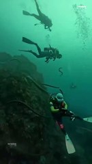 Mariana Trench _science _facts _shorts