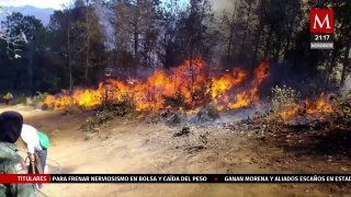 Incendios forestales en Puebla activan Plan DN-III-E del Ejército