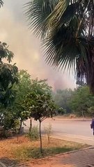 Antalya'da orman yangını çıktı