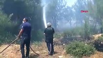 Antalya'da yerleşim yerine yakın alanda orman yangını