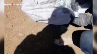 Yürek yakan görüntü: Elazığ’da çuvala konulup düğümlenen köpek ölüme terk edildi