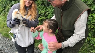 Strangford farmer celebrates six years of helping barn owls bounce back 