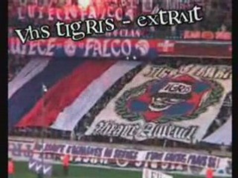 Hommage aux tigris mystic ( tribune )_NEW