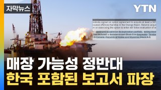 [자막뉴스] '동해 가스전' 탐사한 유명 기업, 정반대 보고서...의혹 증폭 / YTN