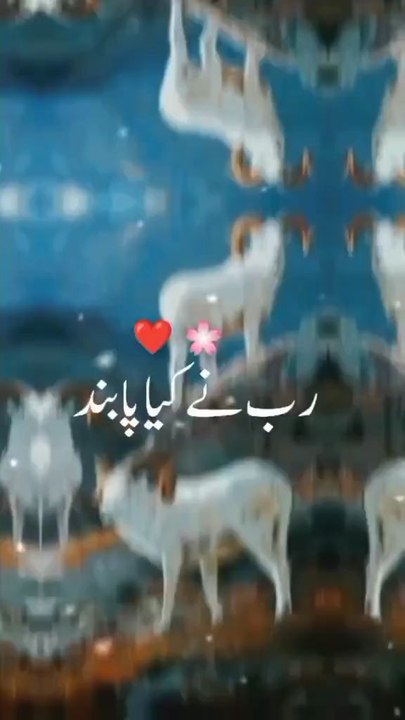 eid ul aza