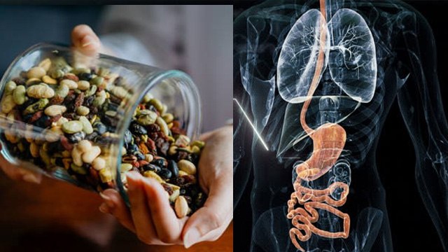 गर्मियों में खाली पेट ड्राई फ्रूट खाना चाहिए या नहीं | Garmi Me Dry Fruit Kaise Khaye | Boldsky