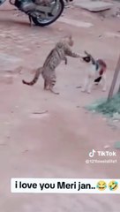 Most funny video i have ever seen