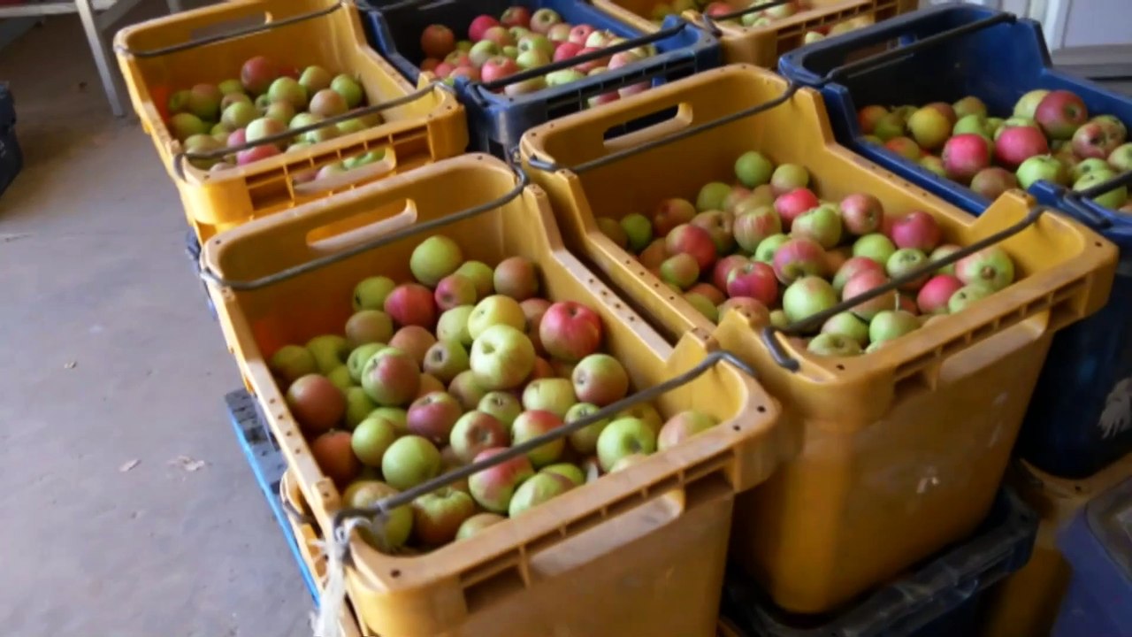 A ‘second chance’ for former prisoners in WA in the form of agricultural work