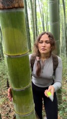 The GIRLs skills are AMAZINGcamping survival bushcraft outdoors lifehack_1080p