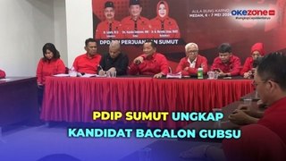 PDIP Sumut Ungkap Kandidat Bacalon Gubsu, Ada Edy Rahmayadi dan Ahok