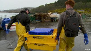 Are Scottish fishers victims of Brexit?