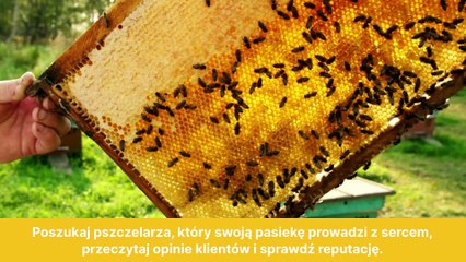 Jak kupić dobry miód? 7 kroków