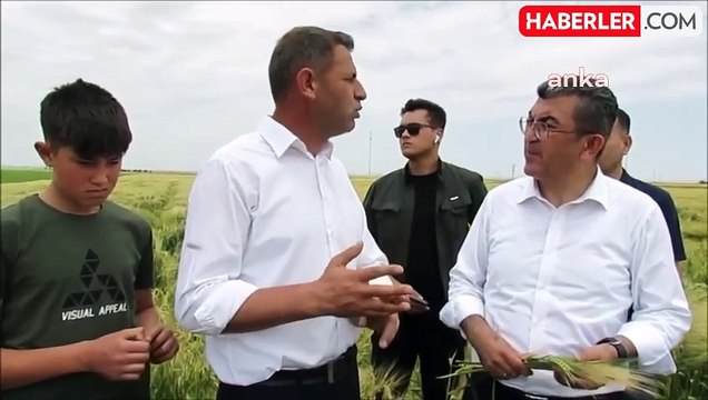 Çiftçiler, buğday ve arpa alım fiyatlarına tepki gösterdi