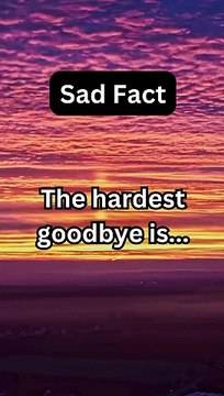 Sad Fact | Heartbreaking Realities: Unveiling the Saddest Facts About Life | Creative Comedy And Facts.