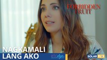 Humihingi ako ng tawad - Forbidden Fruit Pinoy