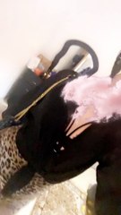 filtered-23C730AD-17AA-4559-9781-5B49B7601743