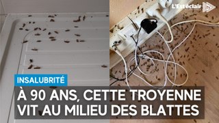 À 90 ans, cette Troyenne vit au milieu des blattes