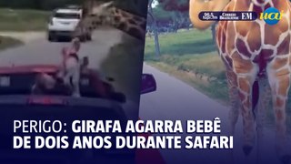 Girafa agarra bebê de dois anos durante safari