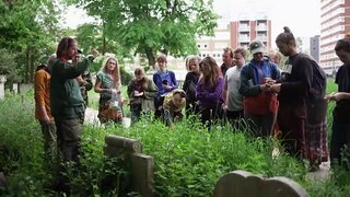 Dans un parc londonien, des cueilleurs en quête de plantes comestibles