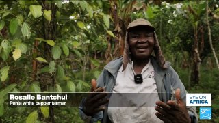 A look at Cameroon's unique Penja white pepper
