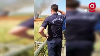 Edirne'de yangın : 110 dönümlük buğday tarlası küle döndü