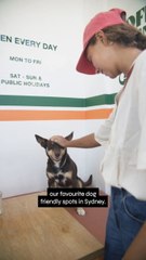 3 Dog-Friendly Spots To Check Out In Sydney