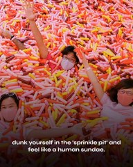 Singapore's Most Instagrammable Spots 📸