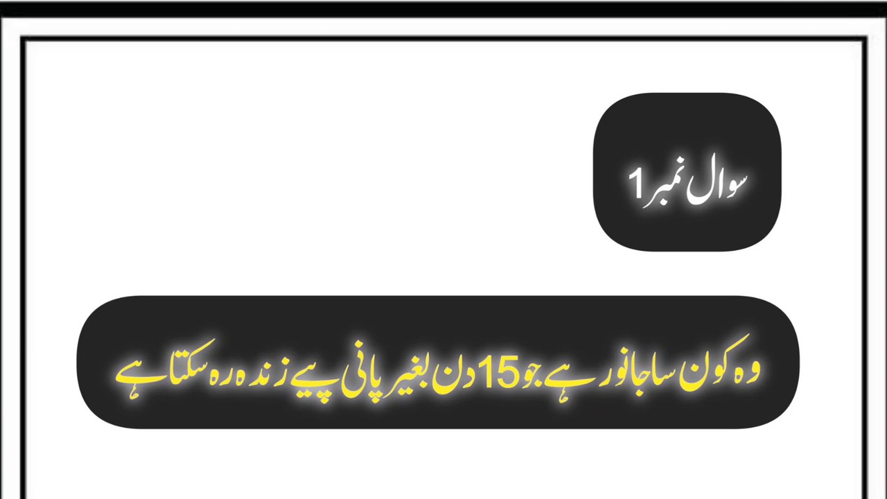 Answer questions general knowledge vedio