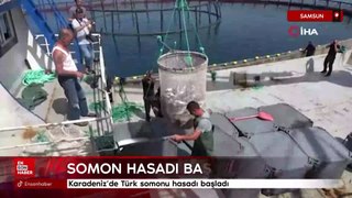 Karadeniz'de Türk somonu hasadı başladı