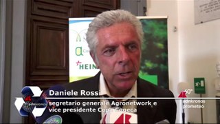 Rossi (Agronetwork): 