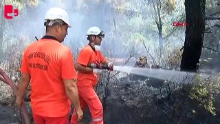 Antalya'da orman yangını kontrol altına alındı