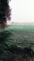 Natural beauty of the earth