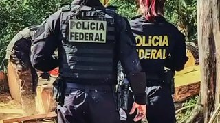 PF RETIRA INVASORES DE TERRA INDÍGENA E DESMONTA EXTRAÇÃO ILEGAL DE MADEIRA