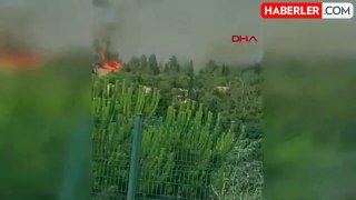 Denizli'de Atatürk Ormanı'nda Yangın Çıktı
