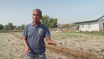Rice farmers in the Philippines battling drought