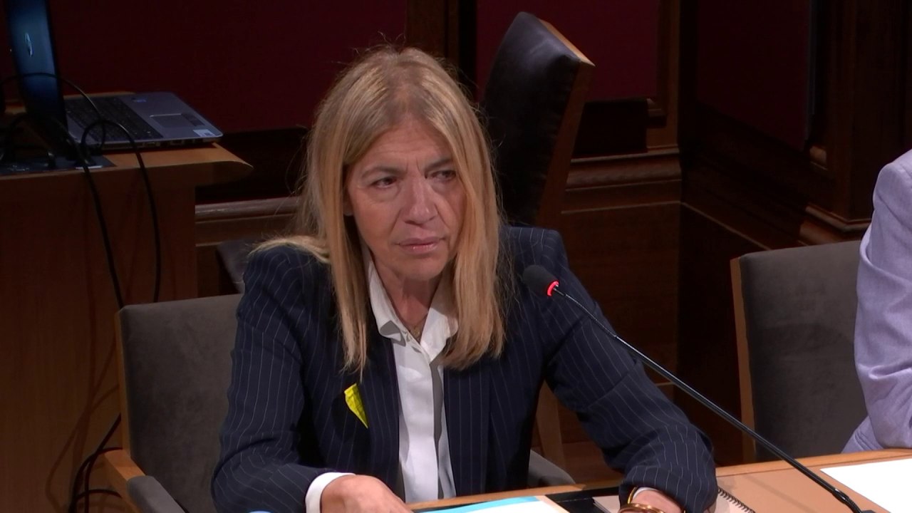 Audiovisuel mondial : "Nous avons quelques amis, mais ils sont plus riches que nous"