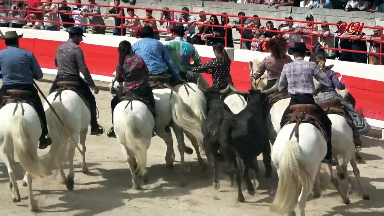 un extrait de la Capelado  finale du Muguet d'Or