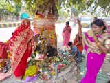 वट वृक्ष की पूजा कर की पति के दीर्घायु की मंगलकामना